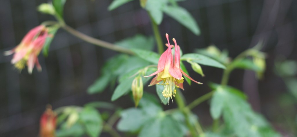 Weekend Plans: Canoeing, Night Walks, Sleeping&nbsp;Trees