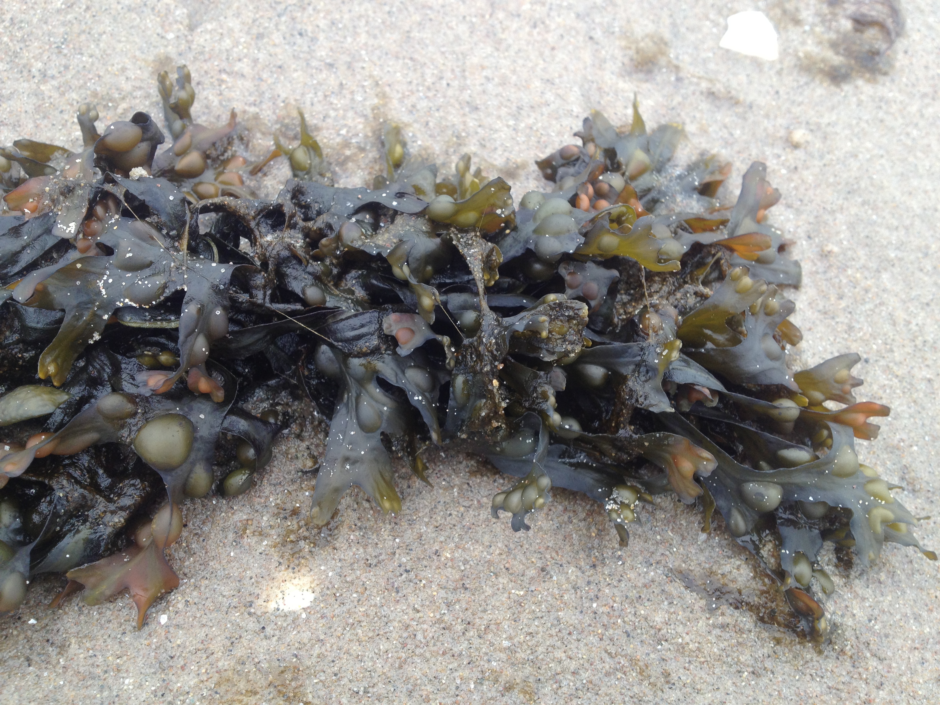 Photo May 22, 1 03 38 PM