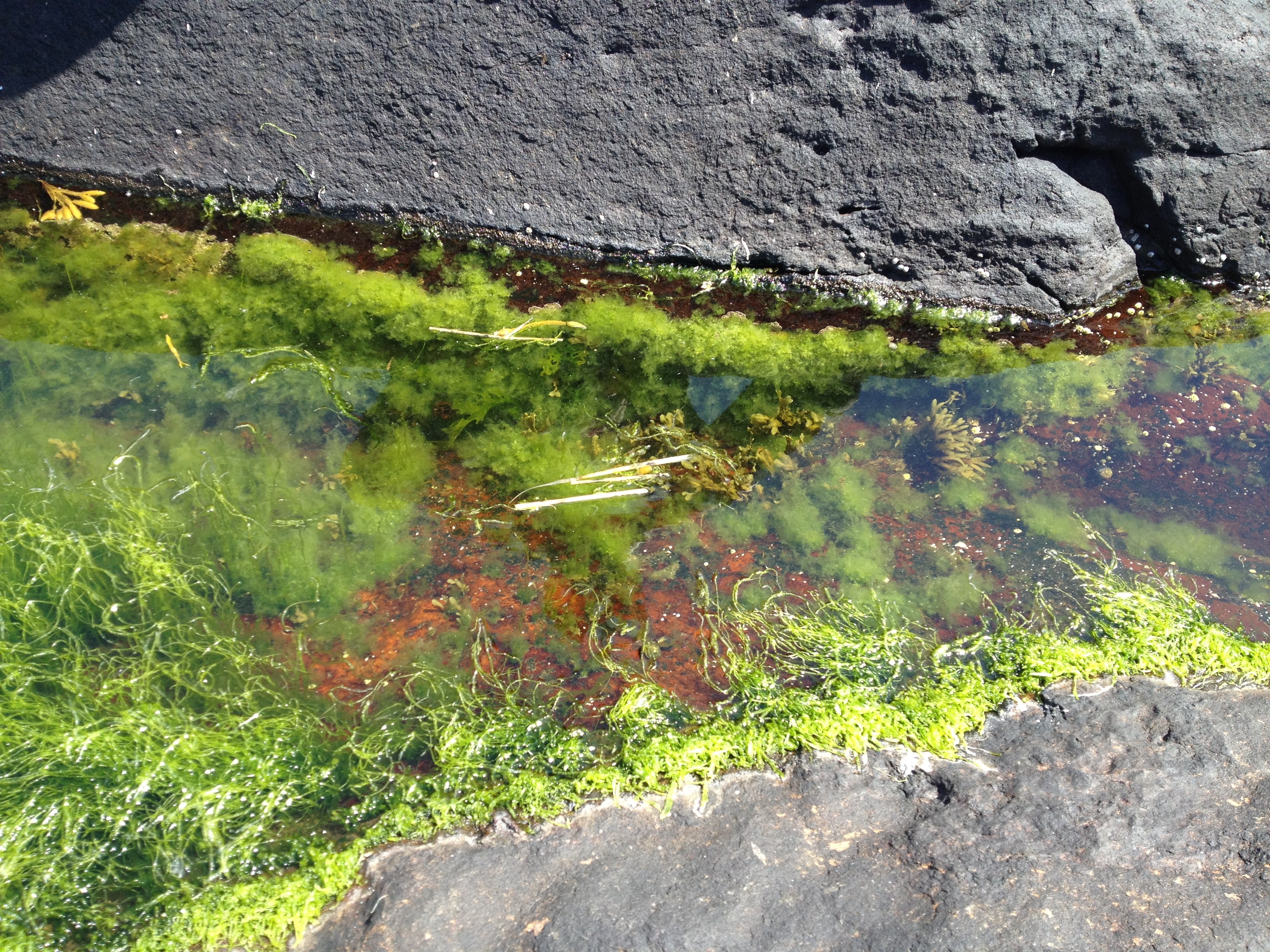 Photo May 27, 2 18 51 PM