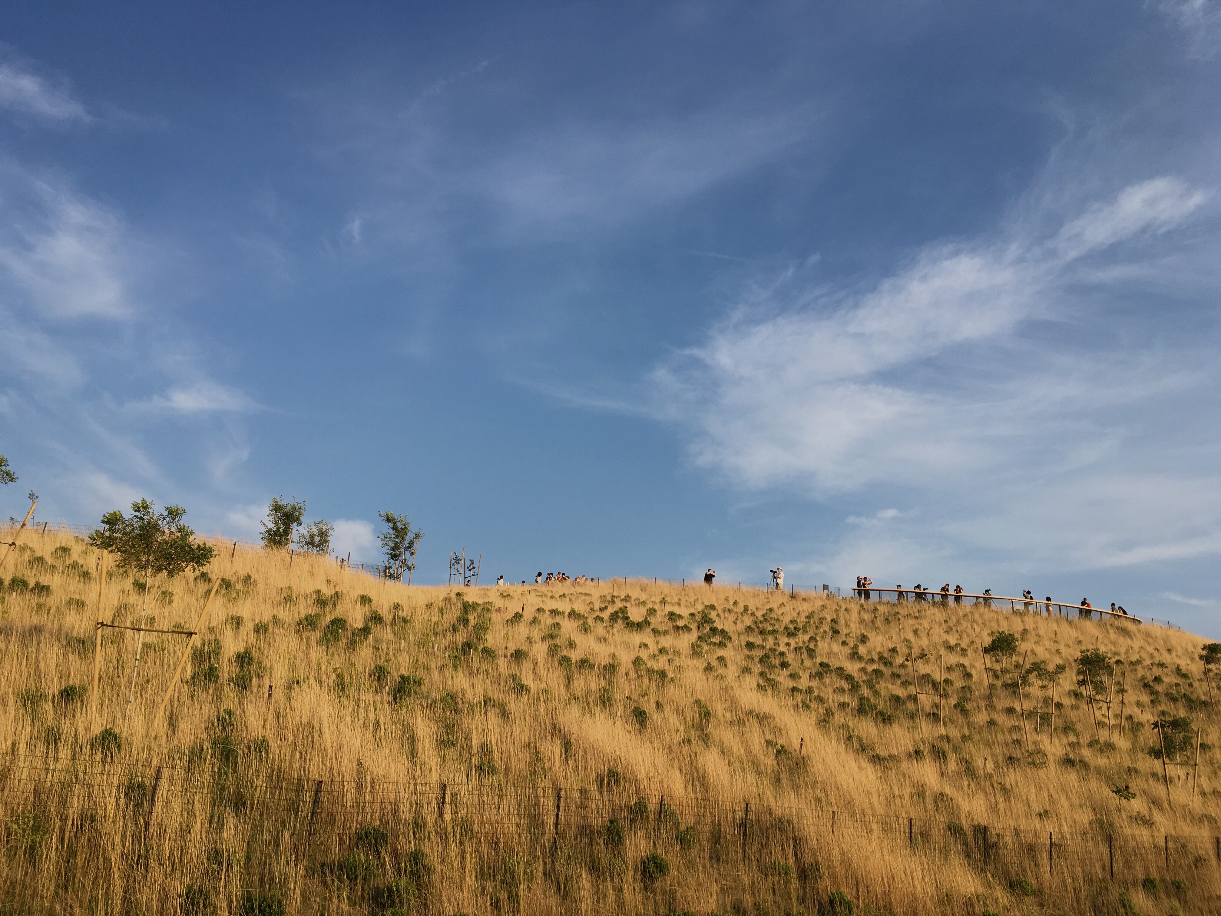 Photo Jul 20, 7 22 08 PM