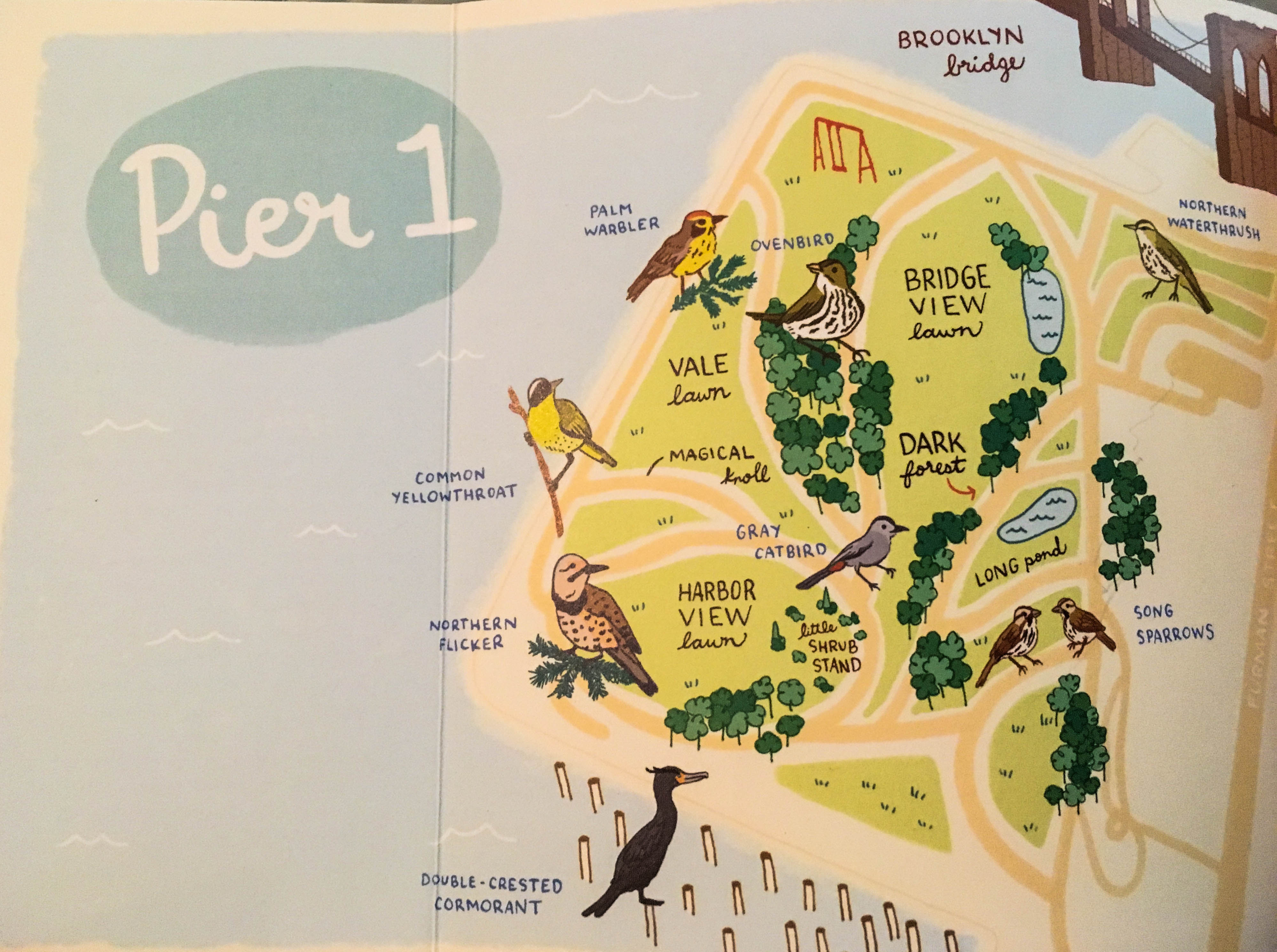 Photo Jul 26, 12 31 44 PM