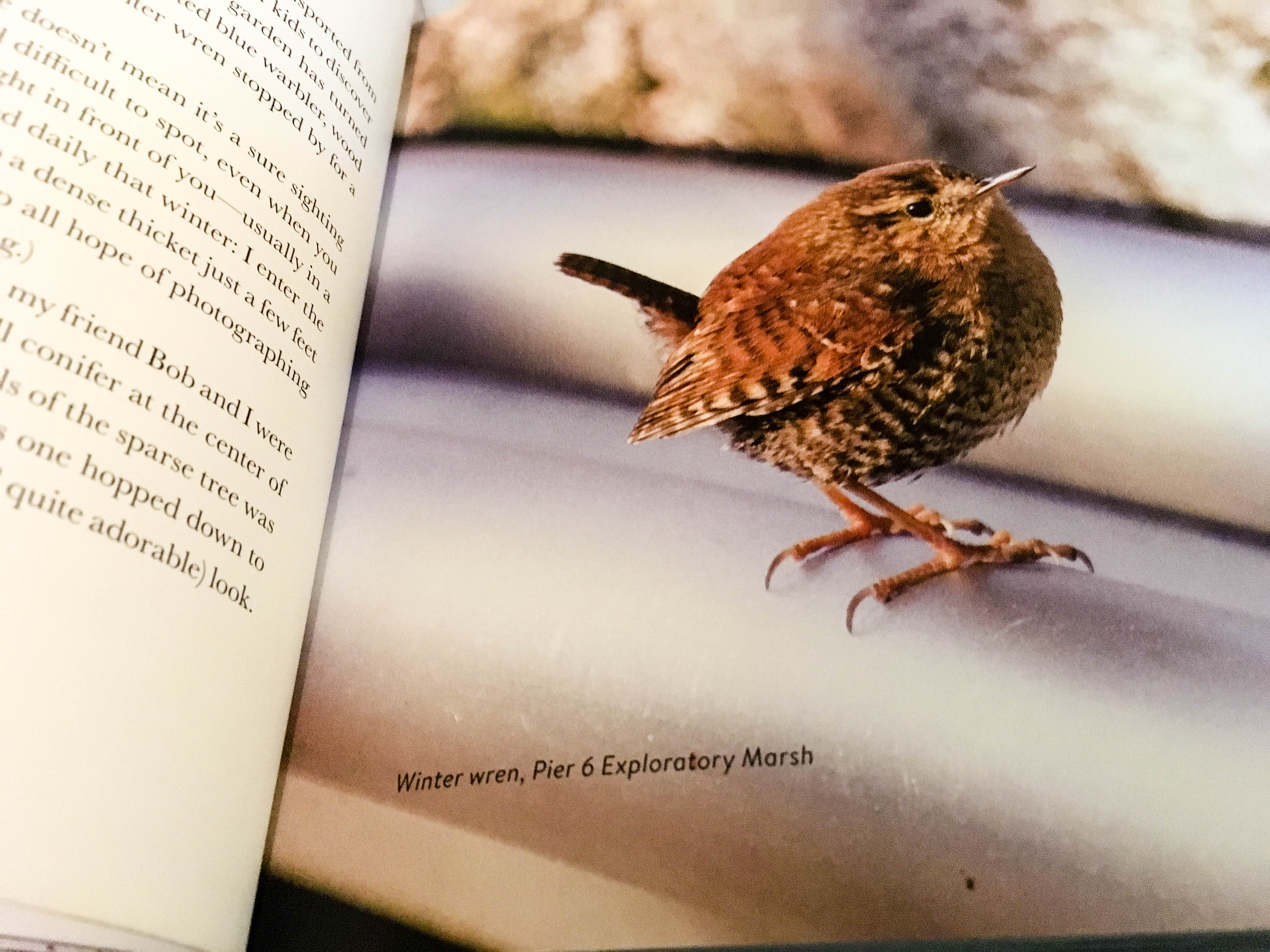 Photo Jul 27, 11 02 29 AM