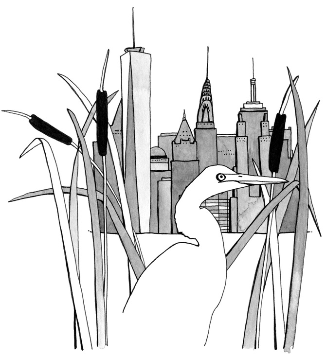 Currently Reading: New Slow&nbsp;City