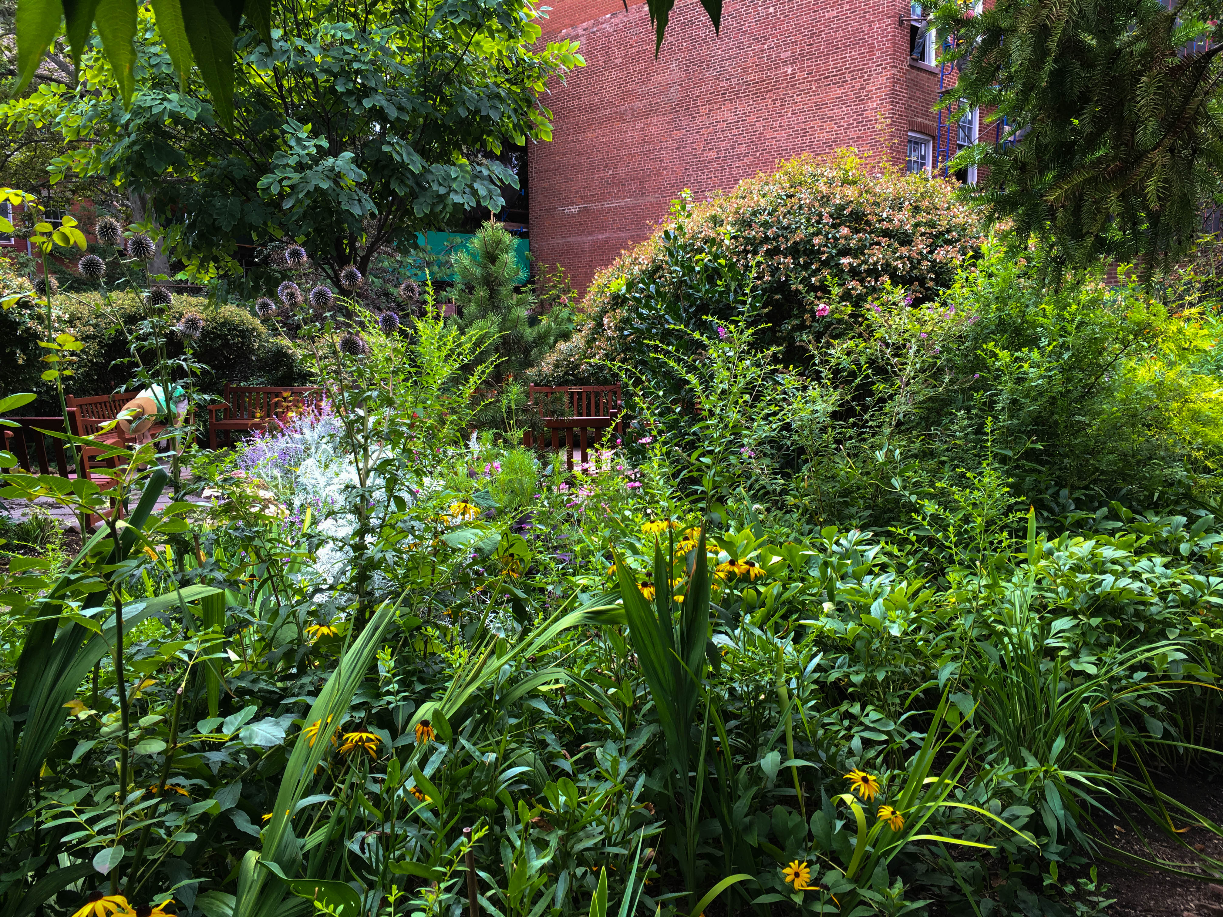 Photo Aug 16, 1 37 53 PM-2