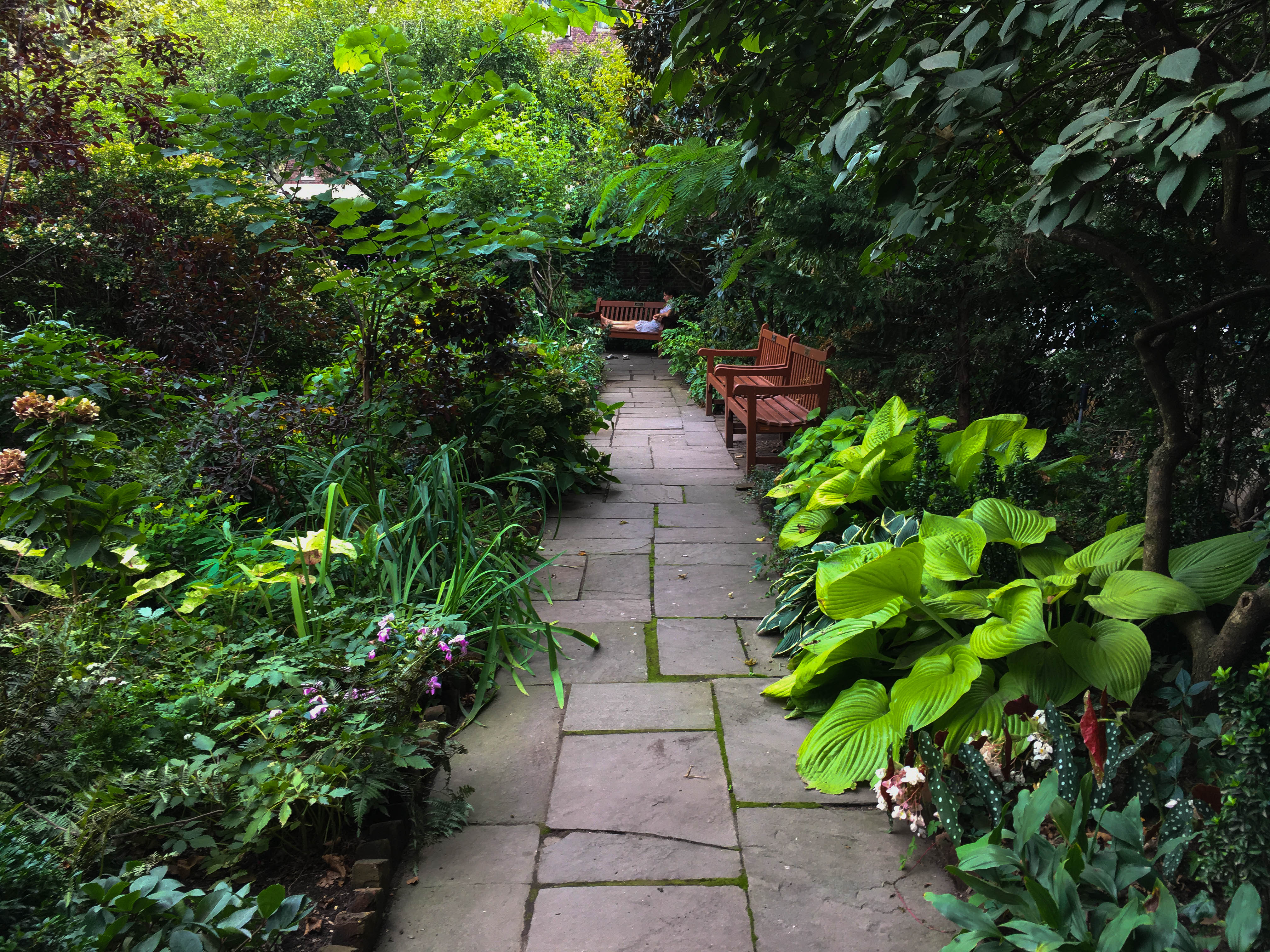 Photo Aug 16, 1 39 20 PM-2