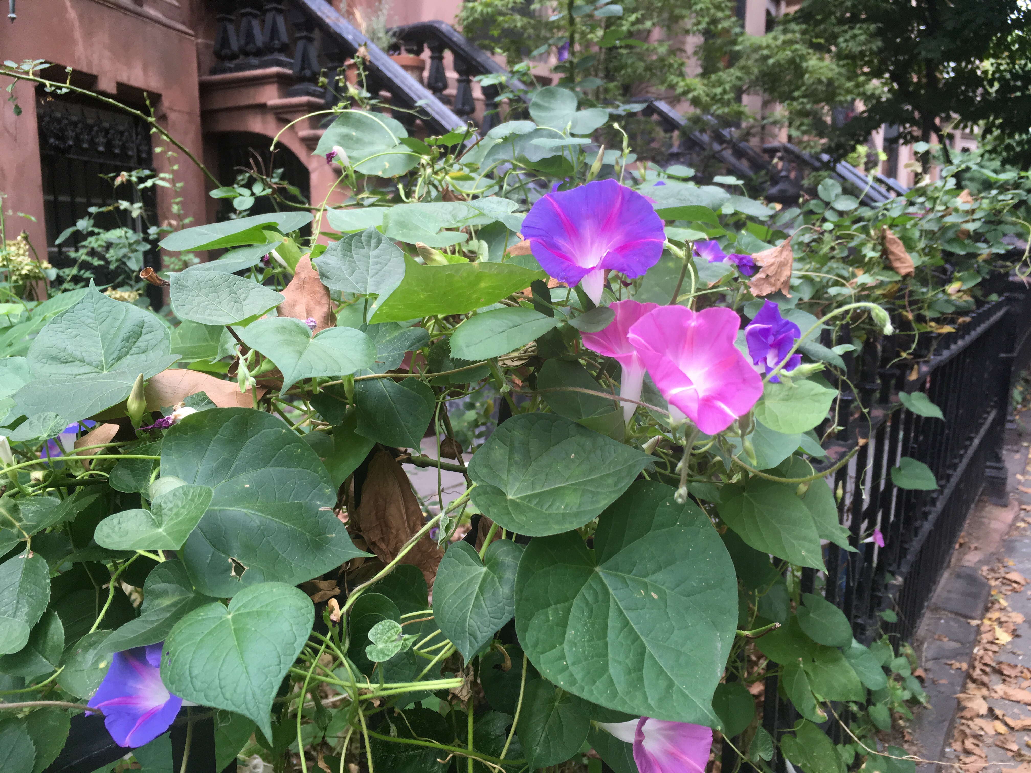 photo-sep-03-1-24-03-pm