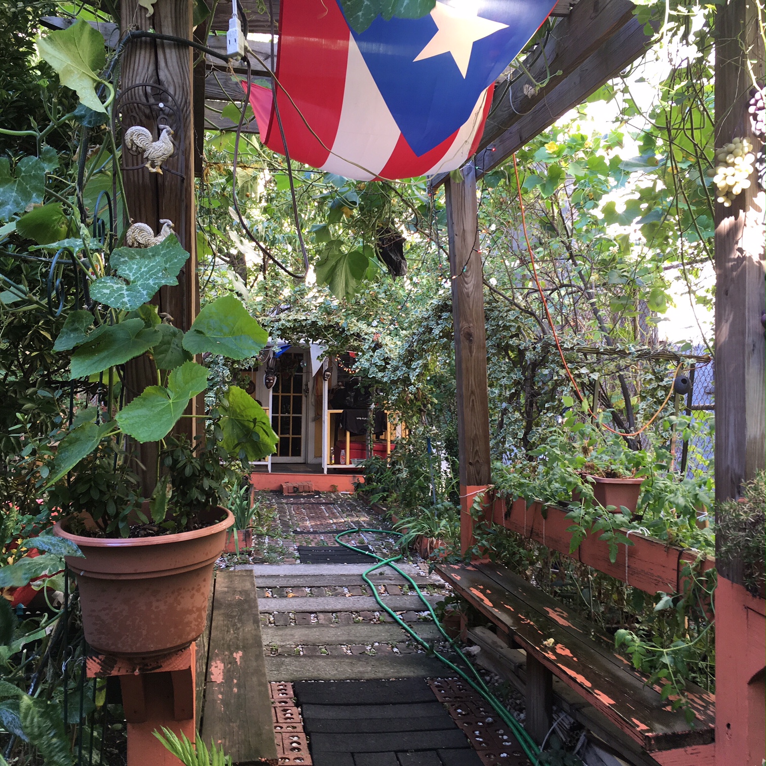 jardinlosamigos