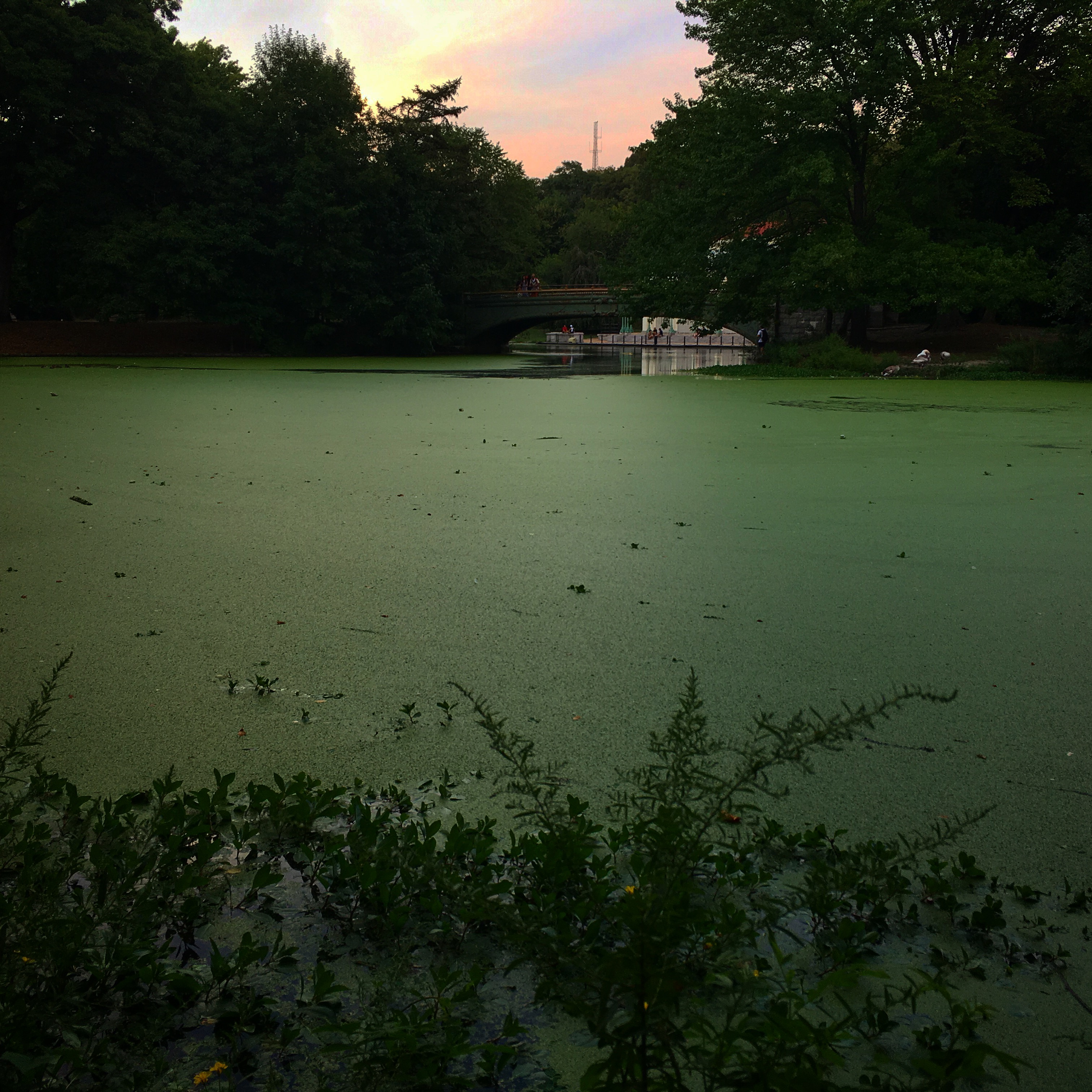 lullwater