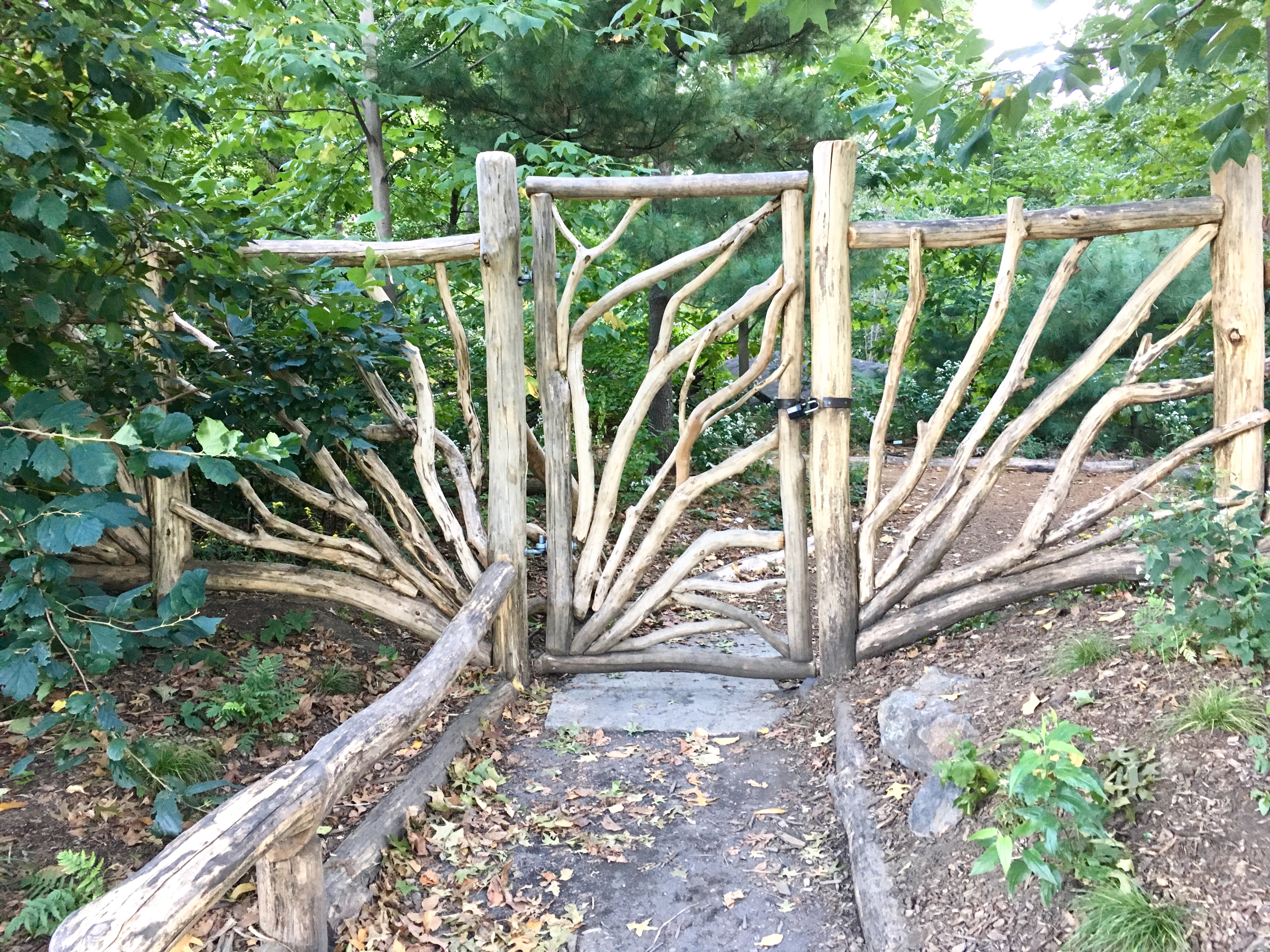 photo-oct-05-5-32-48-pm