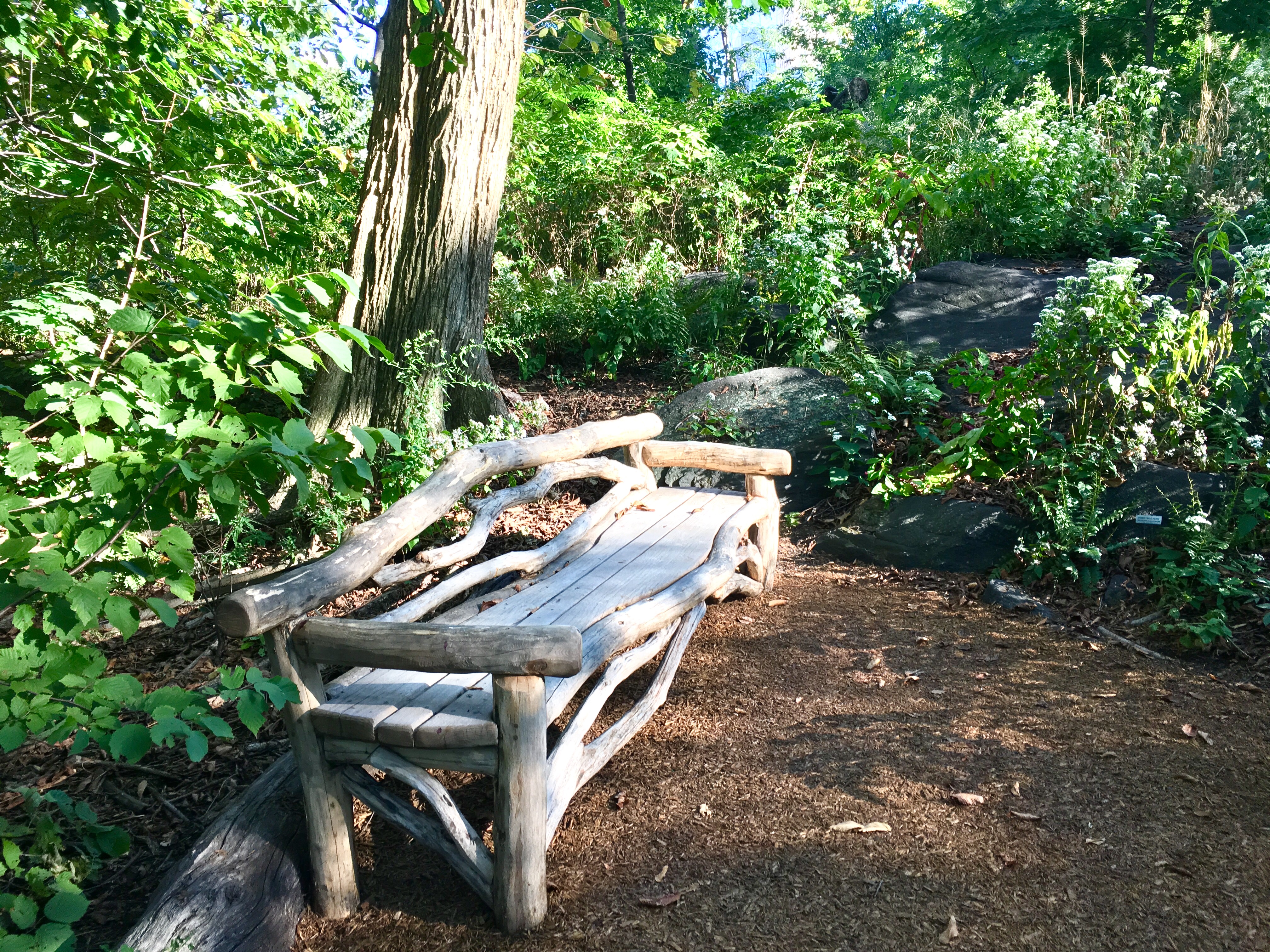 photo-oct-07-3-50-27-pm