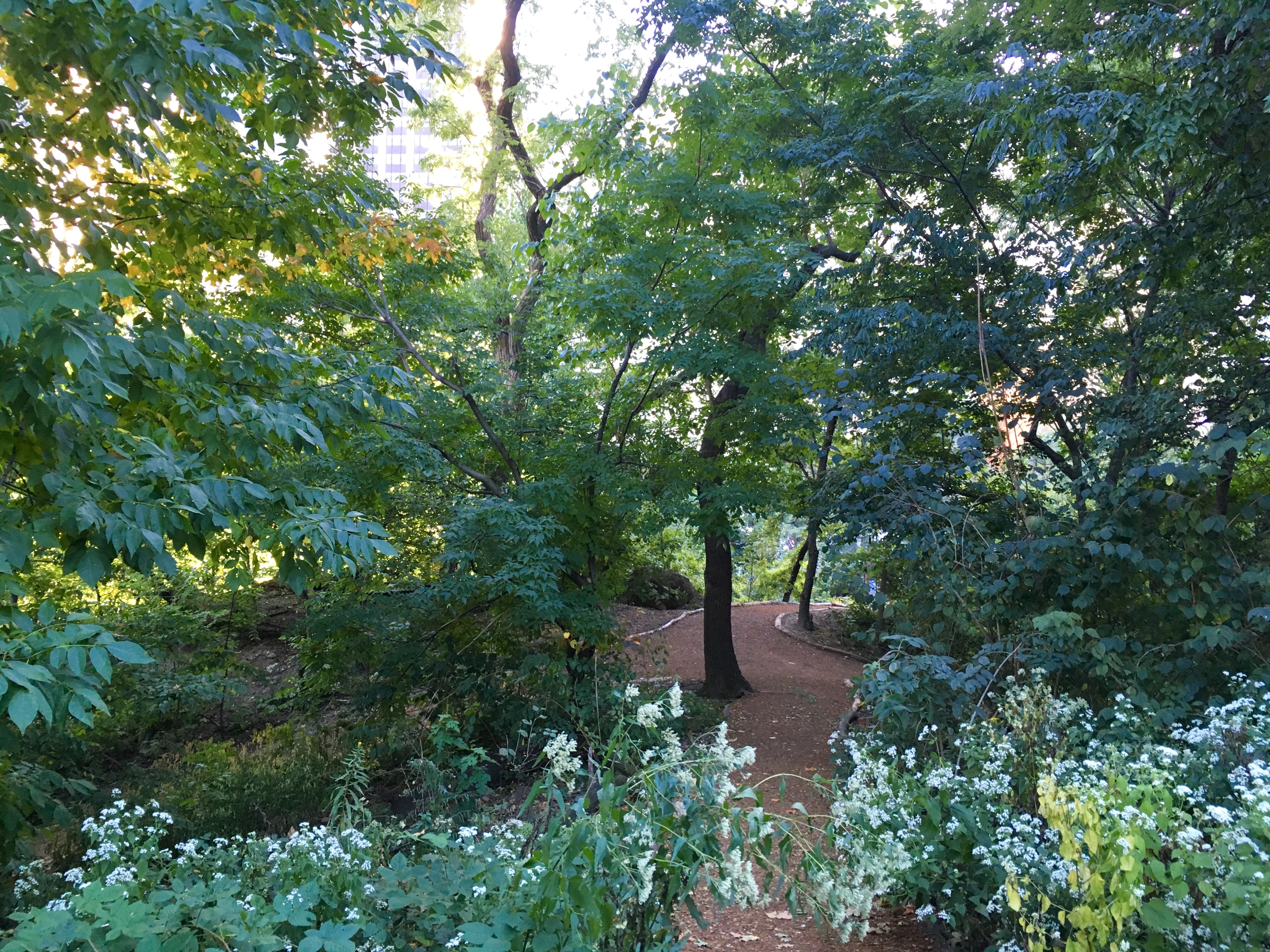 photo-oct-07-4-02-03-pm