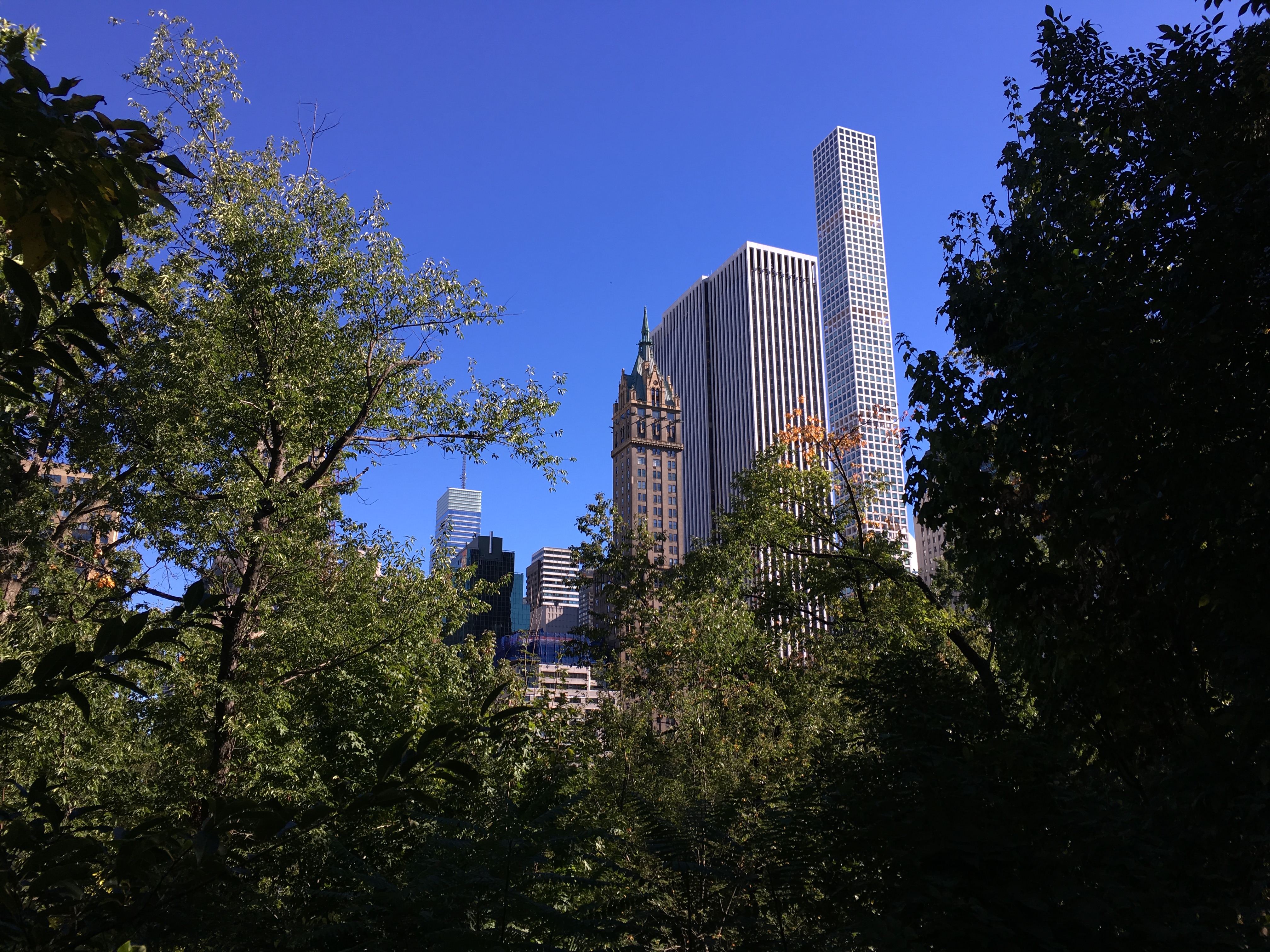 photo-oct-10-3-10-21-pm