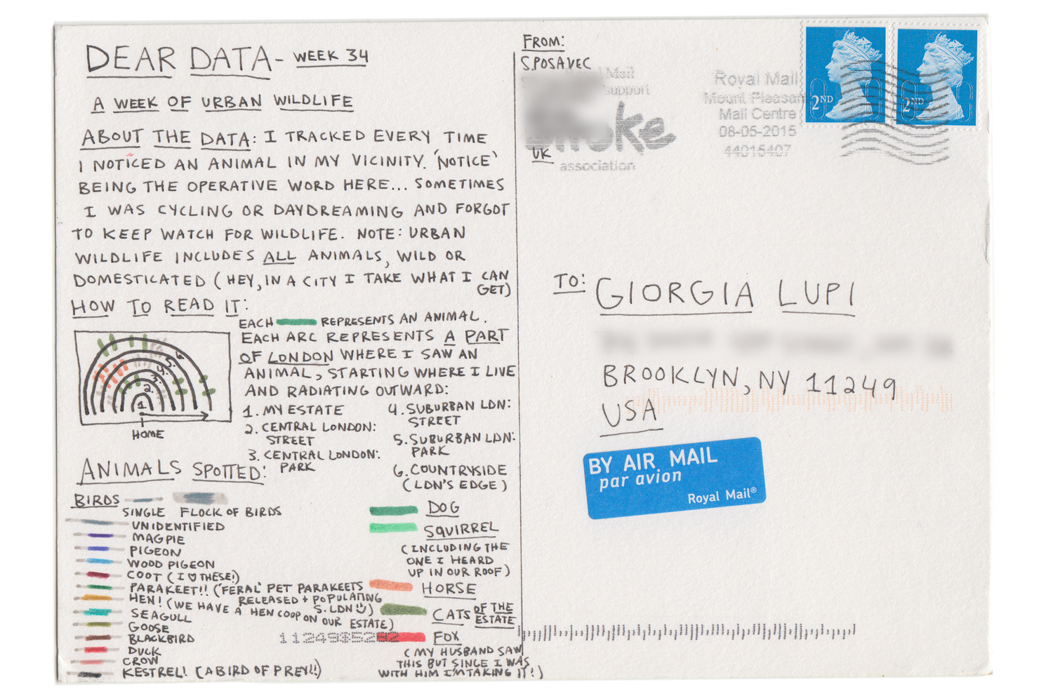 stefanie_deardata_34back