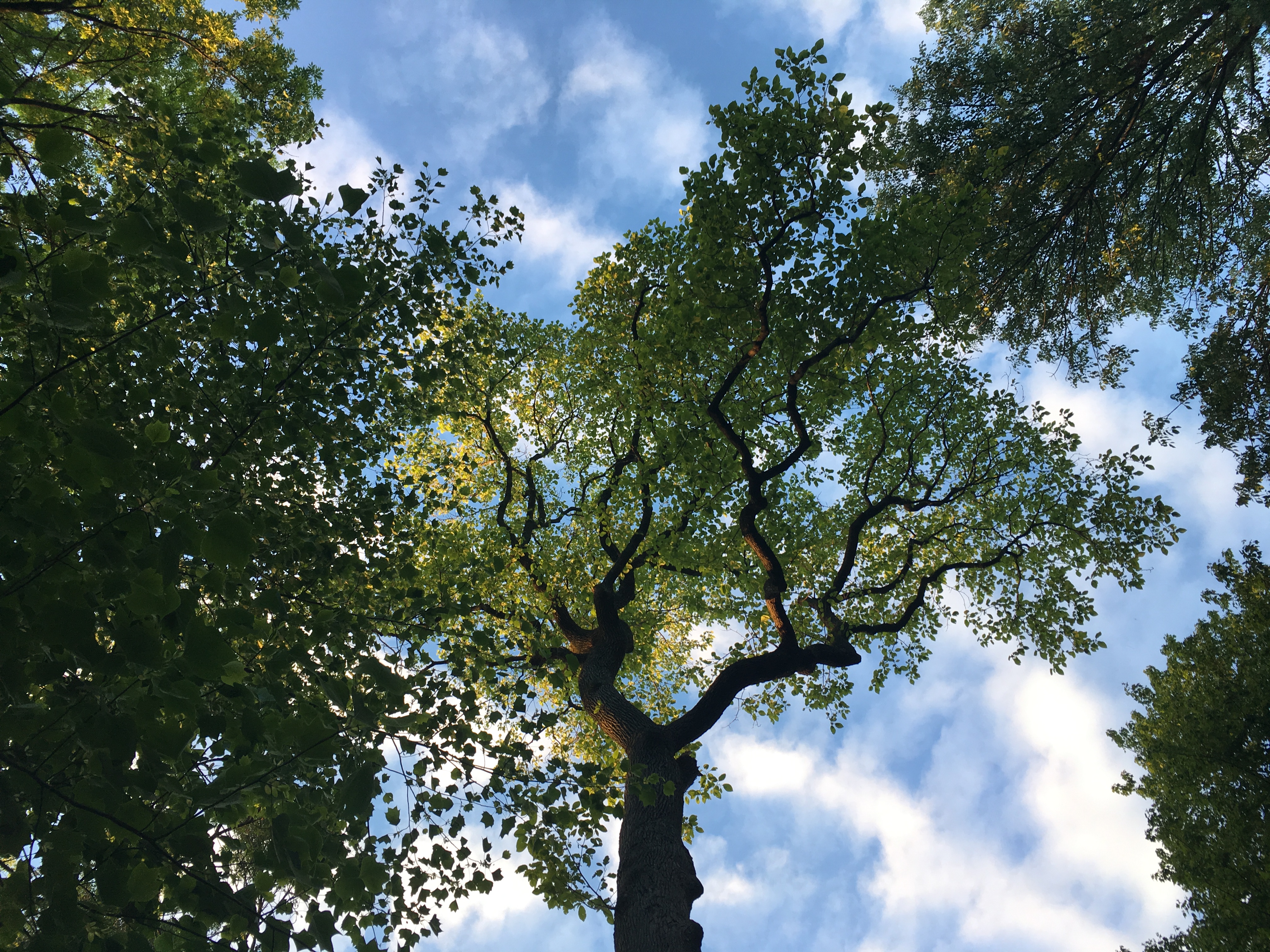 ProspectPark
