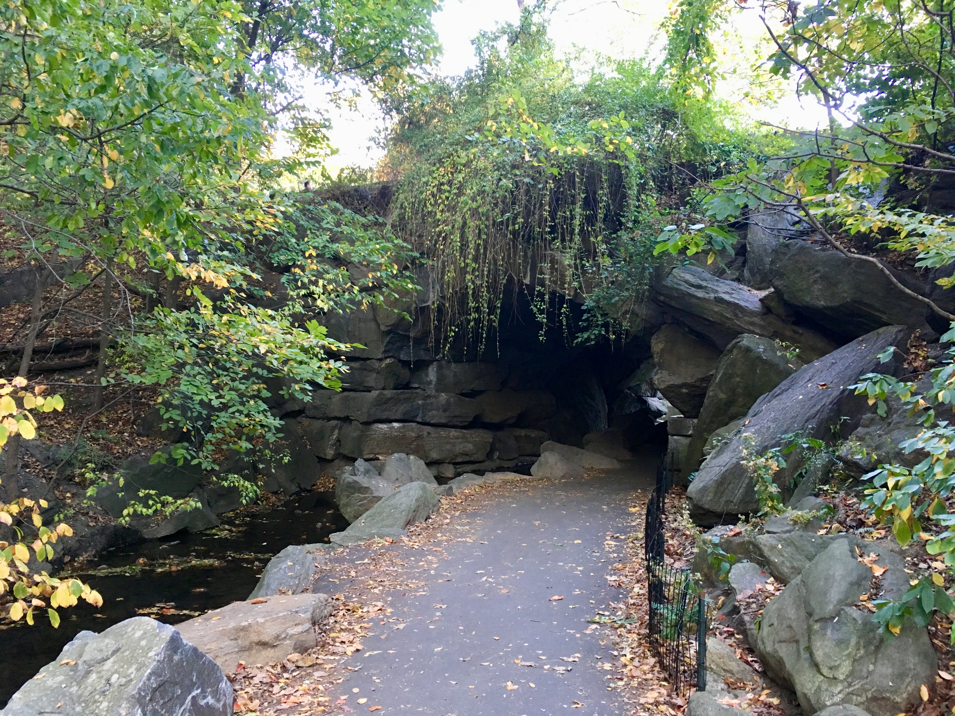 Photo Oct 27, 4 58 09 PM