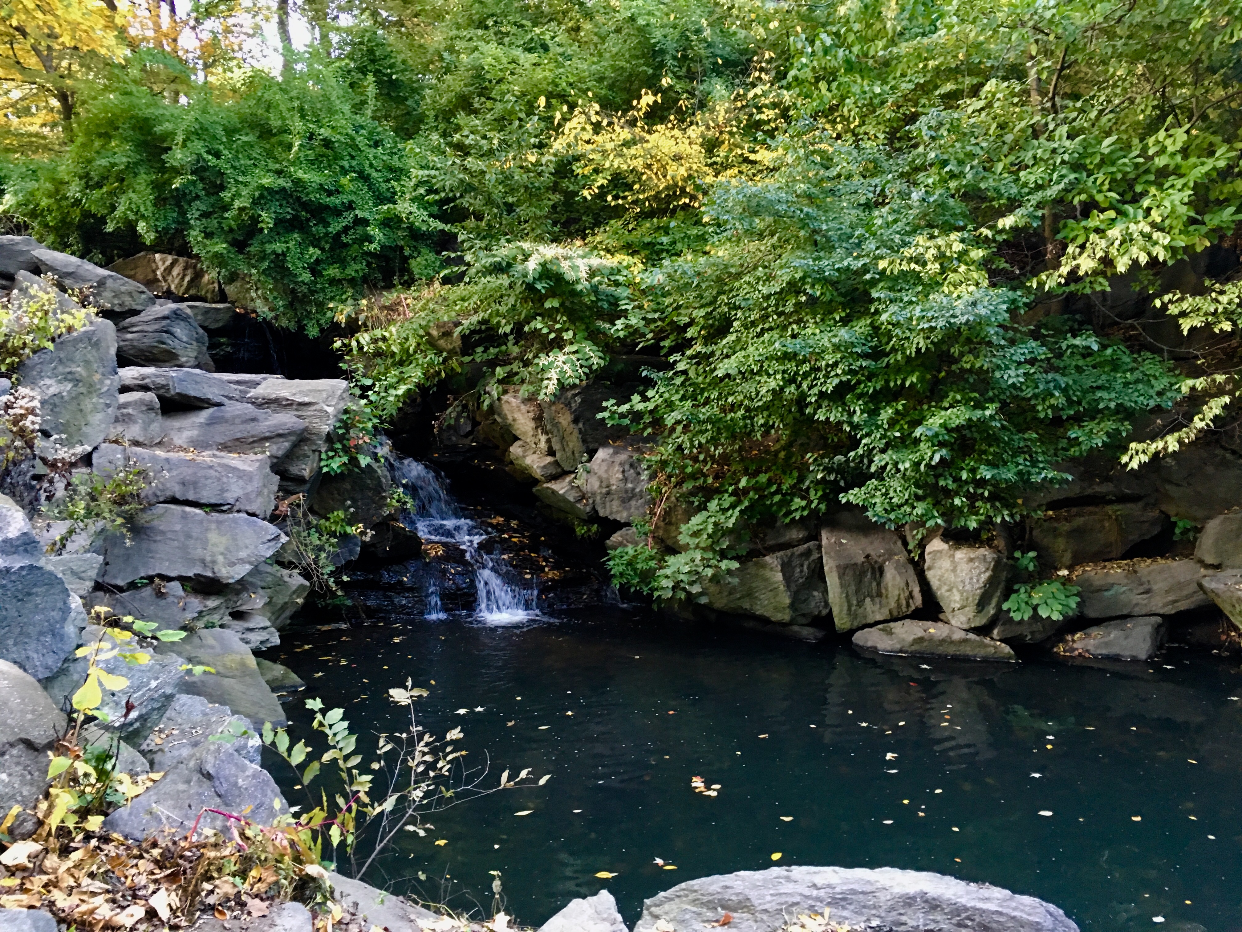 Photo Oct 27, 5 13 14 PM