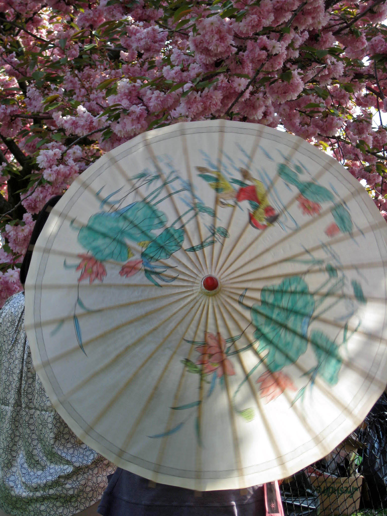 2503648761_f59bb08b89_o