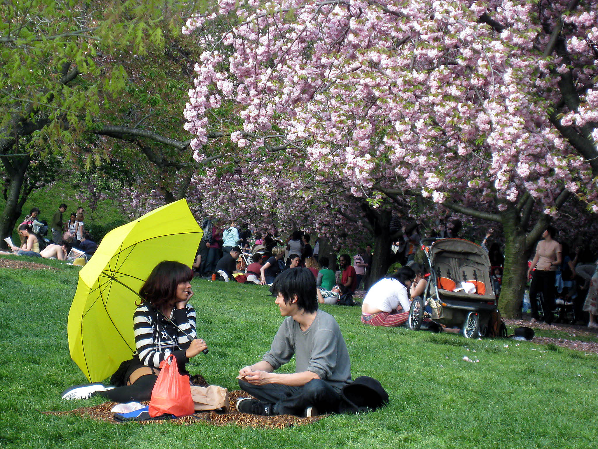 2503649253_2491860d17_o