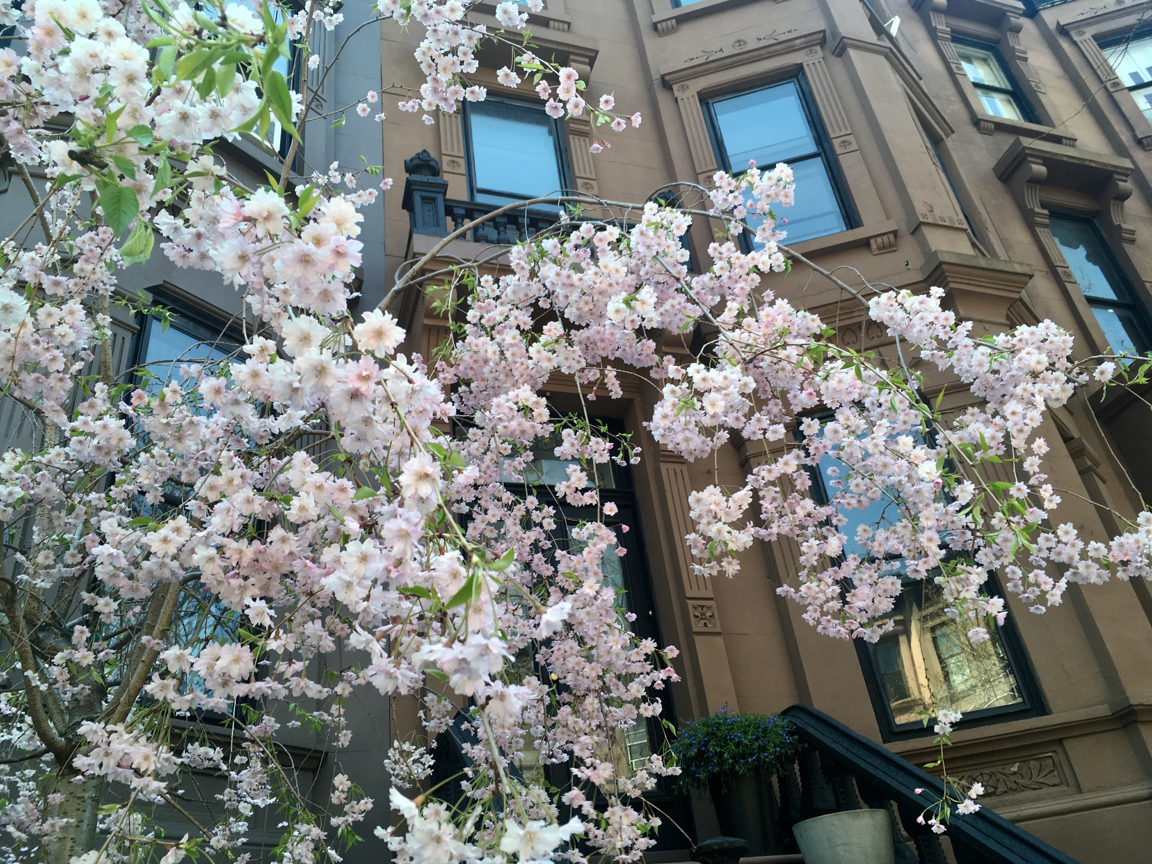 Photo May 01, 1 10 38 PM